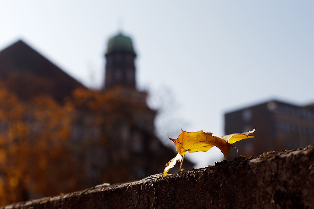 Herbst in der Stadt 6