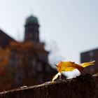 Herbst in der Stadt 6