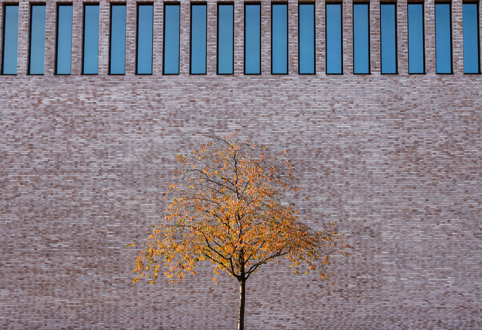 Herbst in der Stadt