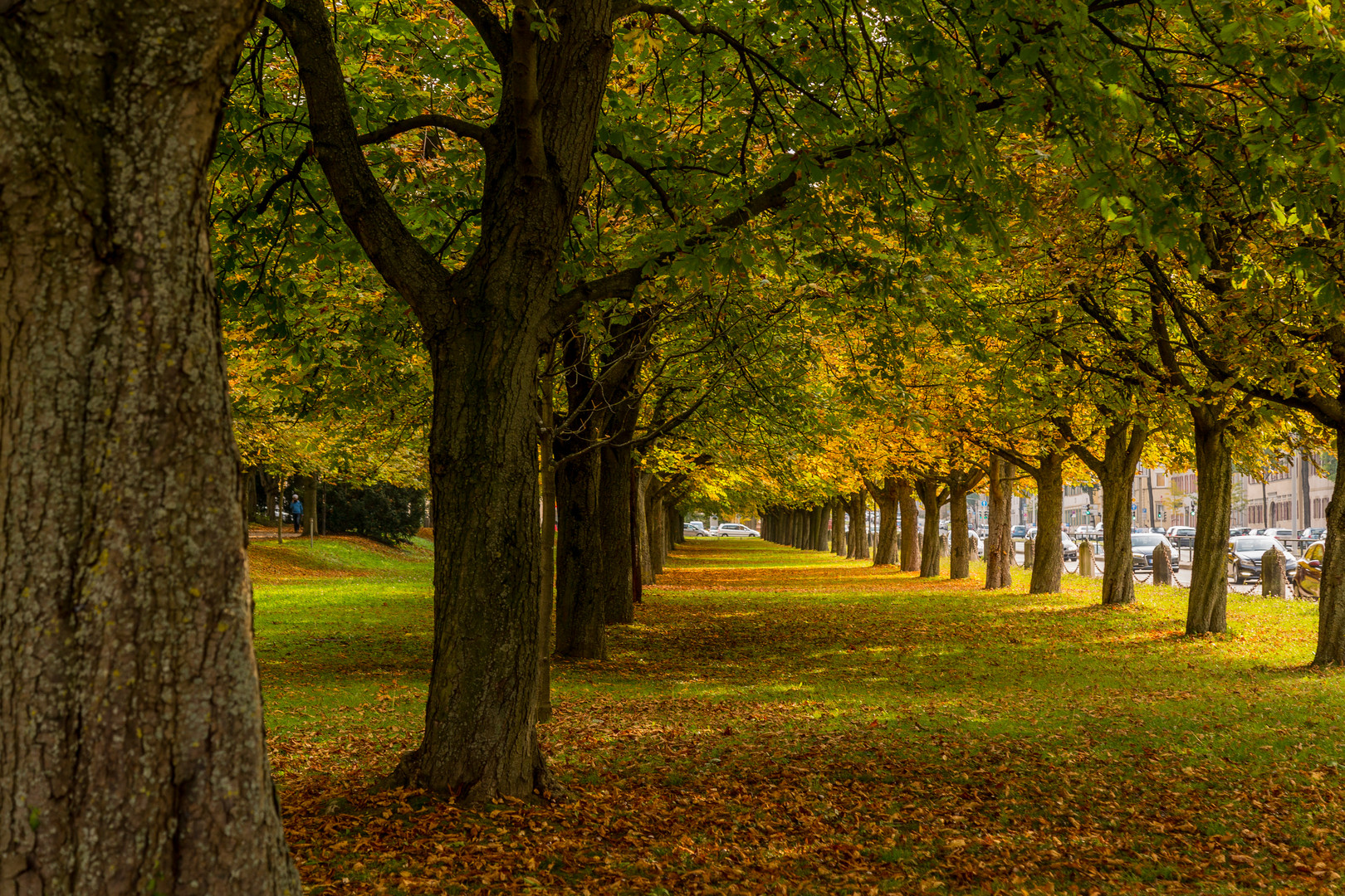 Herbst in der Stadt