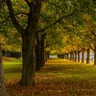 Herbst in der Stadt