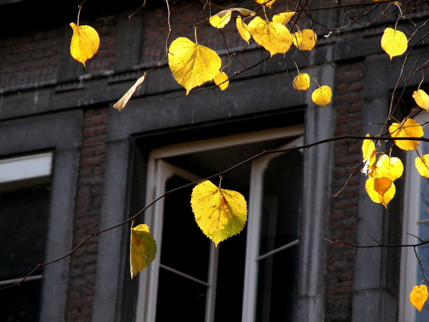 Herbst in der Stadt