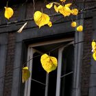 Herbst in der Stadt