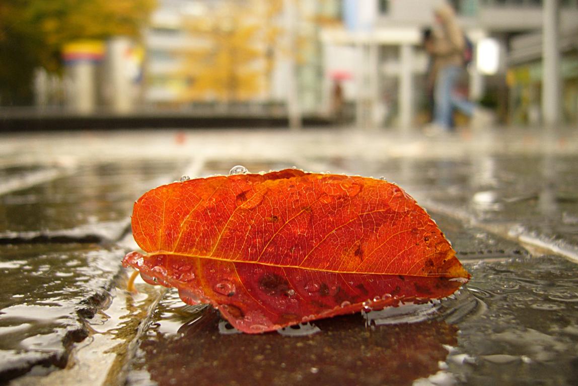 herbst in der stadt