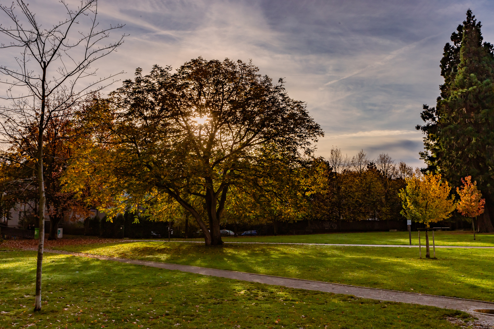 Herbst in der Stadt