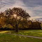 Herbst in der Stadt