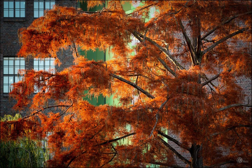 Herbst in der Stadt