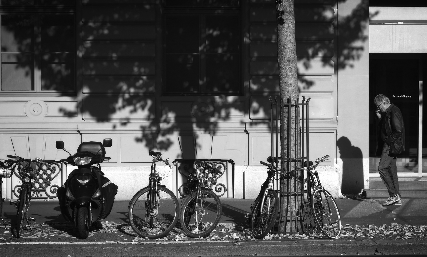 Herbst in der Stadt