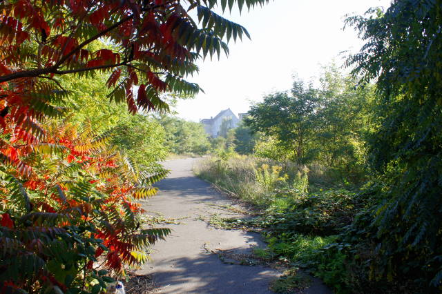 Herbst in der Stadt