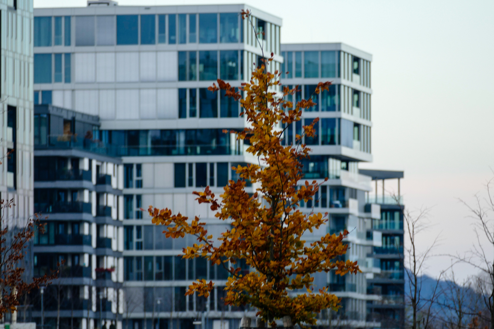 Herbst in der Stadt