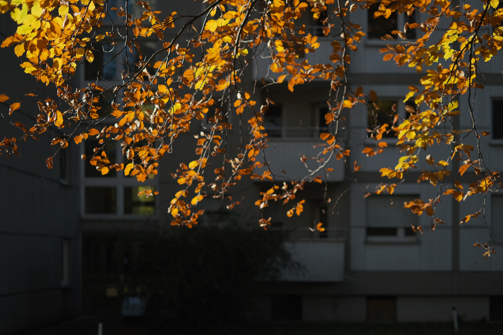 Herbst in der Stadt - Autumn in the city