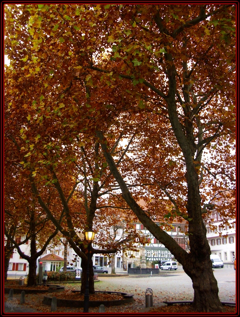 Herbst in der Stadt