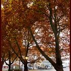 Herbst in der Stadt