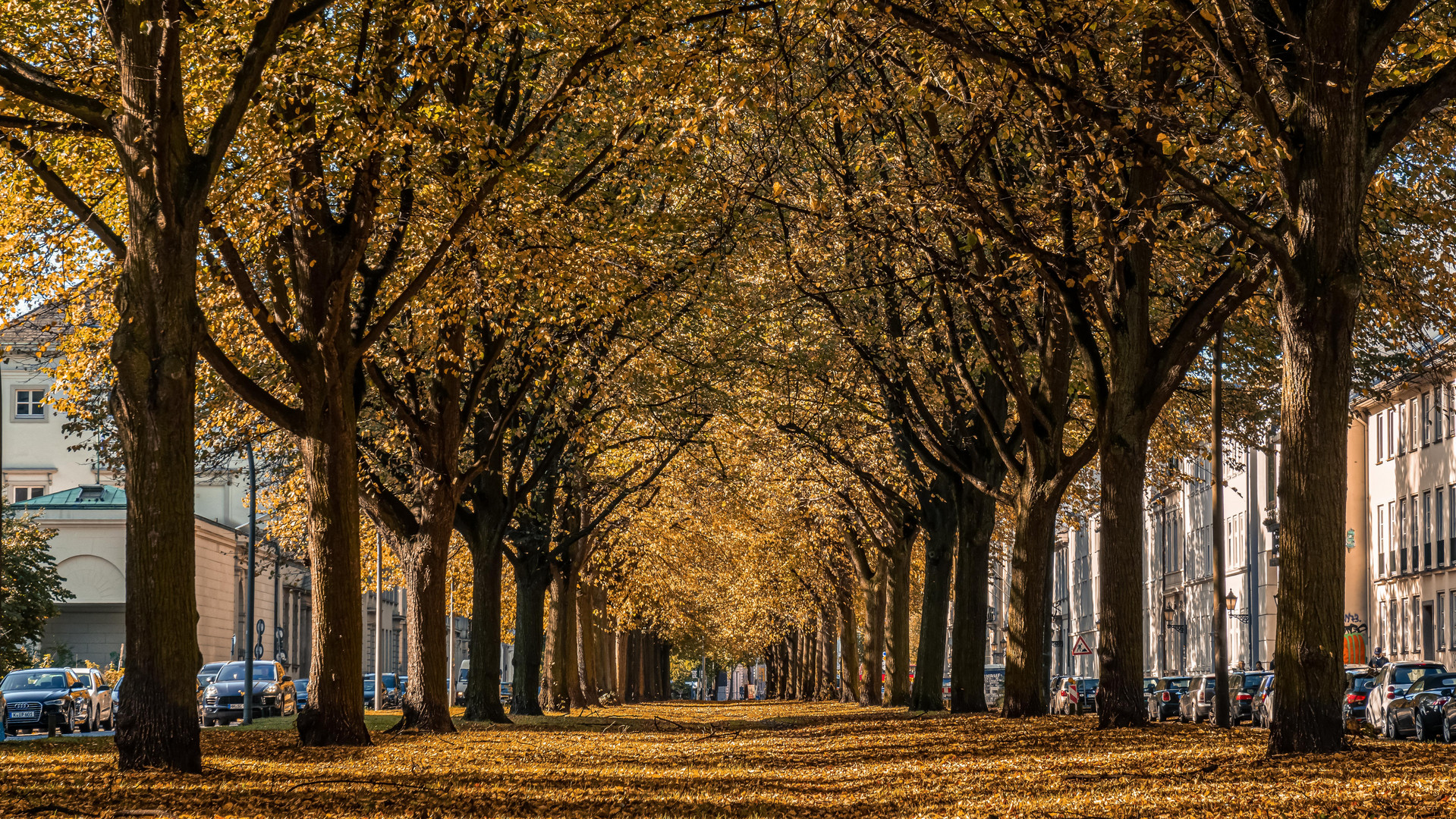 Herbst in der Stadt