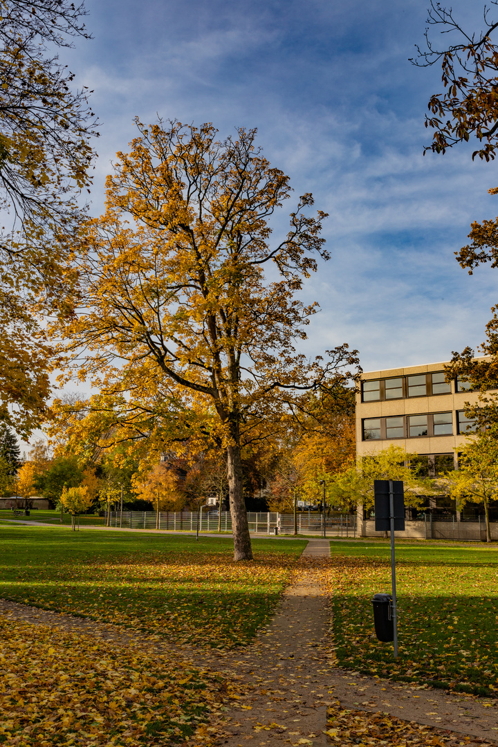 Herbst in der Stadt