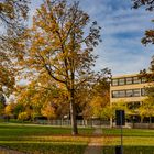 Herbst in der Stadt