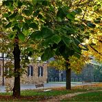 Herbst in der Stadt