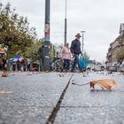 Herbst in der Stadt