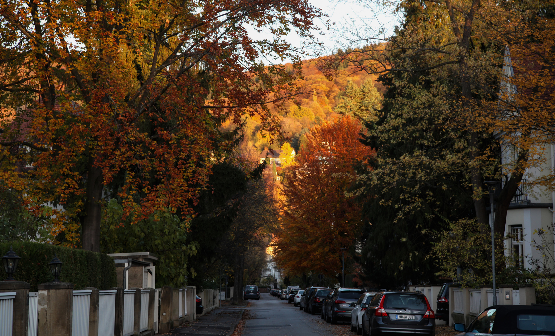 Herbst in der Stadt