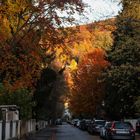 Herbst in der Stadt