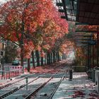 Herbst in der Stadt