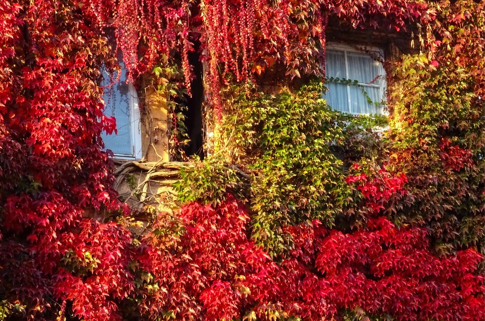 Herbst in der Stadt