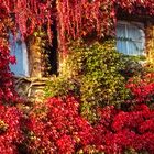 Herbst in der Stadt