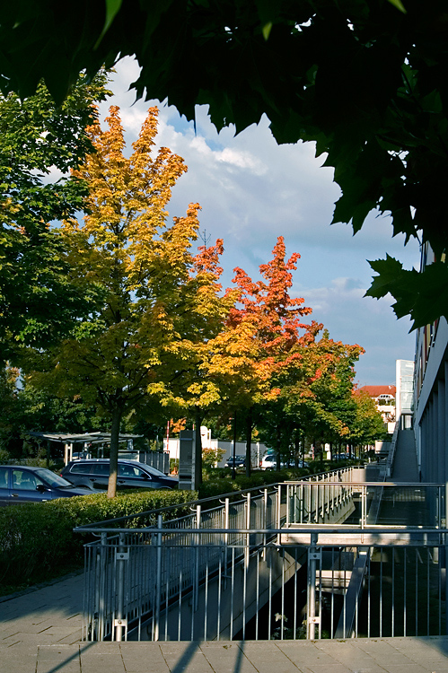 Herbst in der Stadt