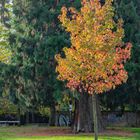 Herbst in der Stadt