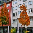 Herbst in der Stadt I