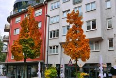 Herbst in der Stadt I