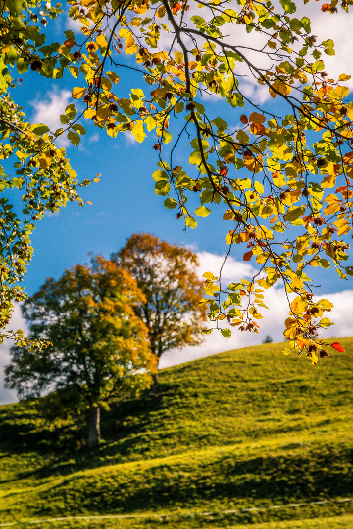 Herbst in der Steiermark