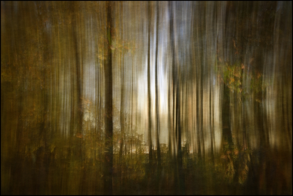 Herbst in der Steinburg