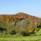 Herbst in der steirischen Toskana