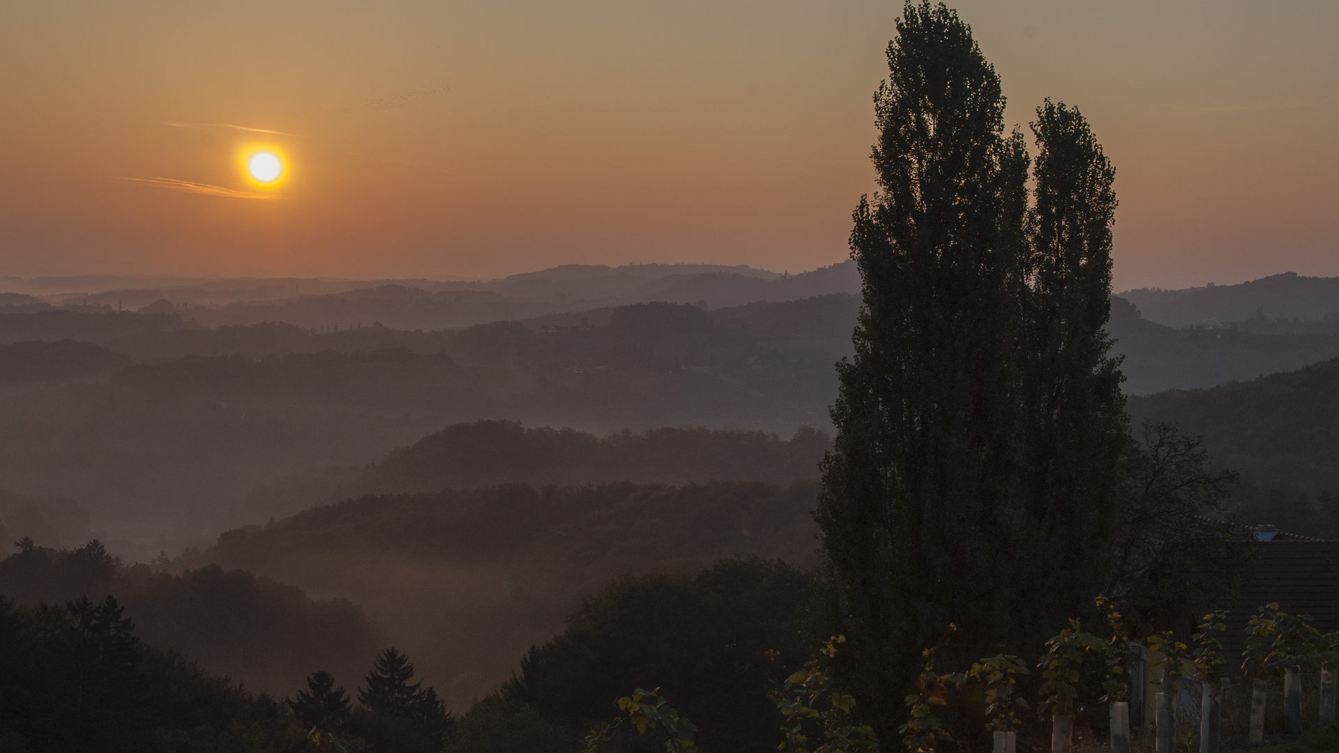 Herbst in der steirischen Toskana