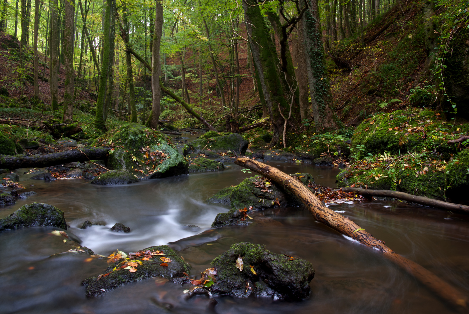 Herbst in der Stohner Schweiz