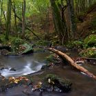 Herbst in der Stohner Schweiz