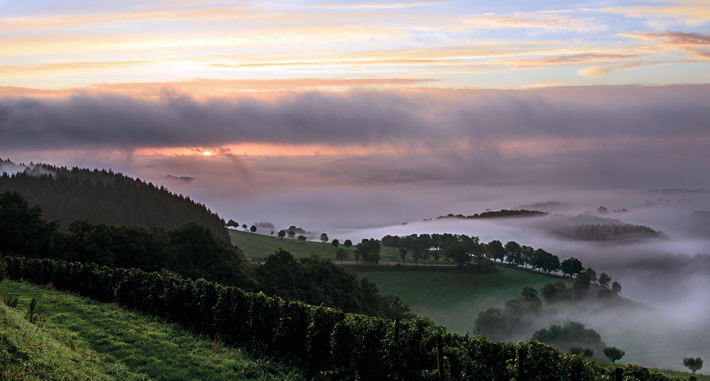 Herbst in der Südeifel