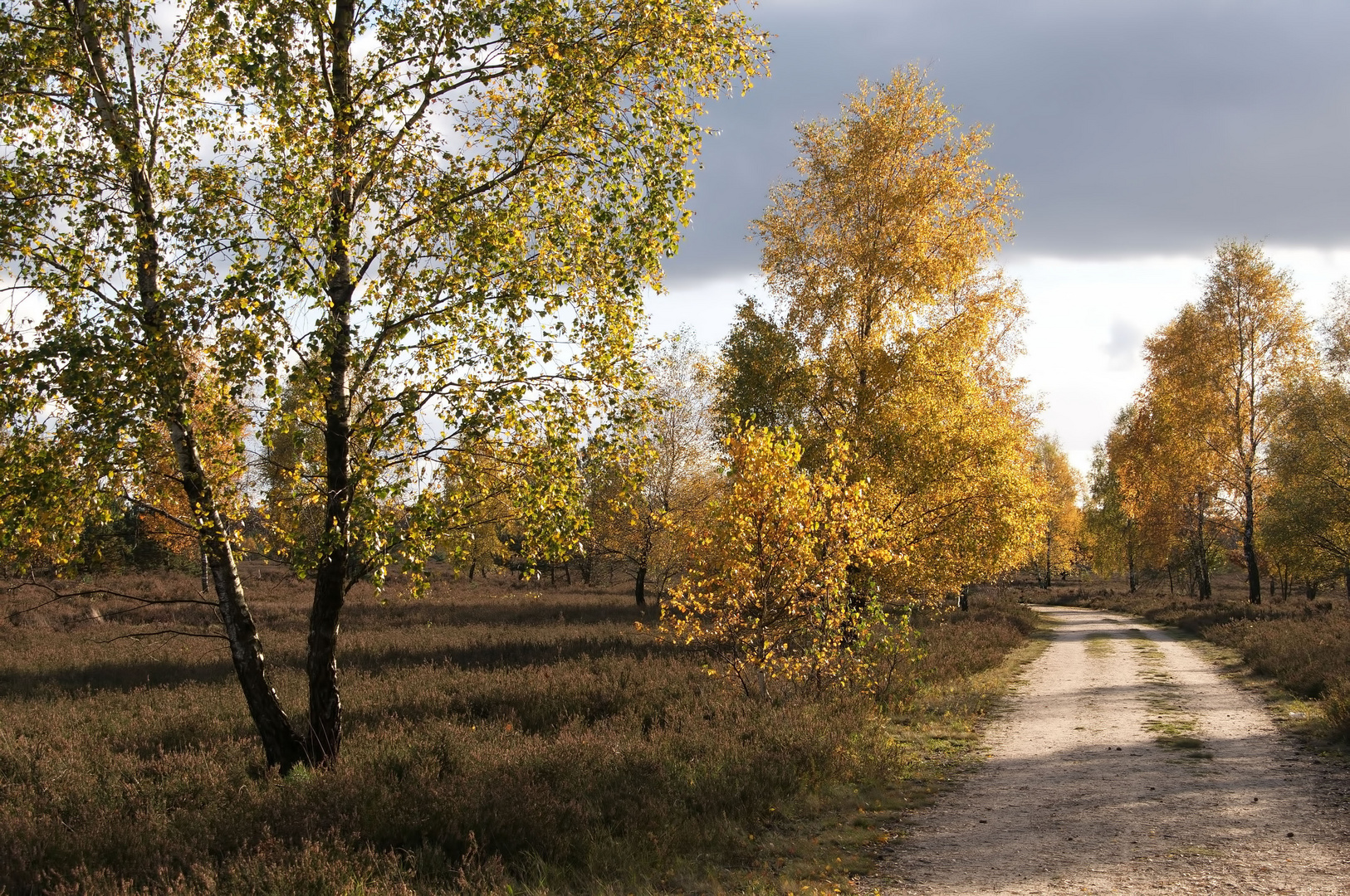 °Herbst in der Südheide°