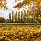 Herbst in der Südpfalz