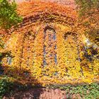 Herbst in der Südstadt in Köln