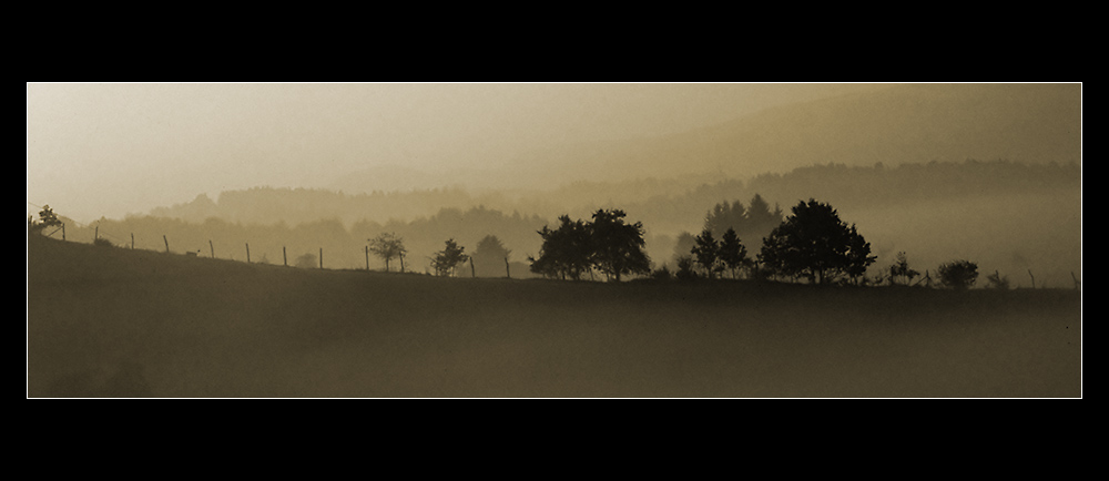 Herbst in der Südsteiermark