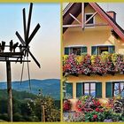 Herbst in der Südsteiermark