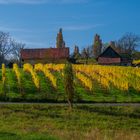 Herbst in der Südsteiermark