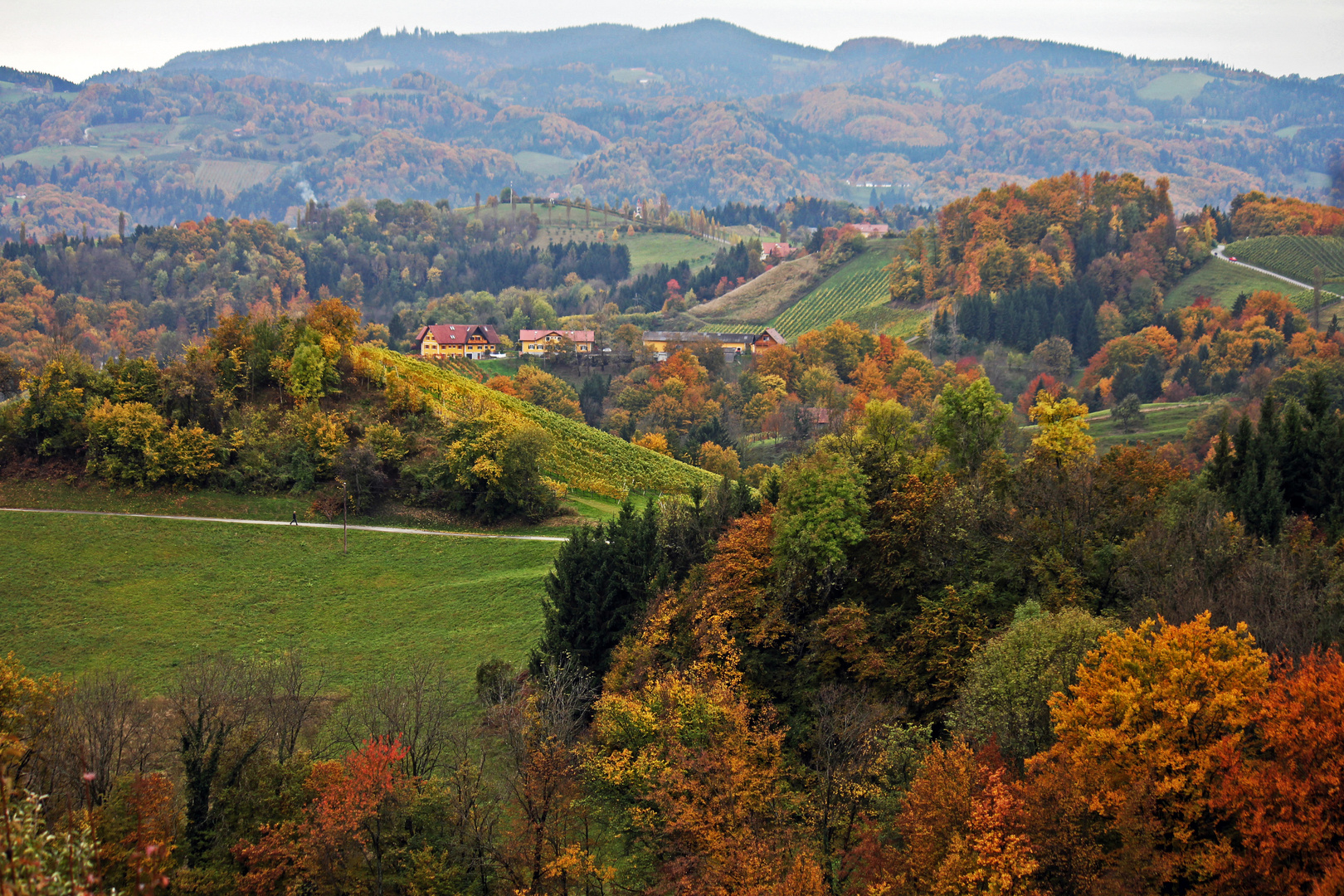 Herbst in der Südsteiermark