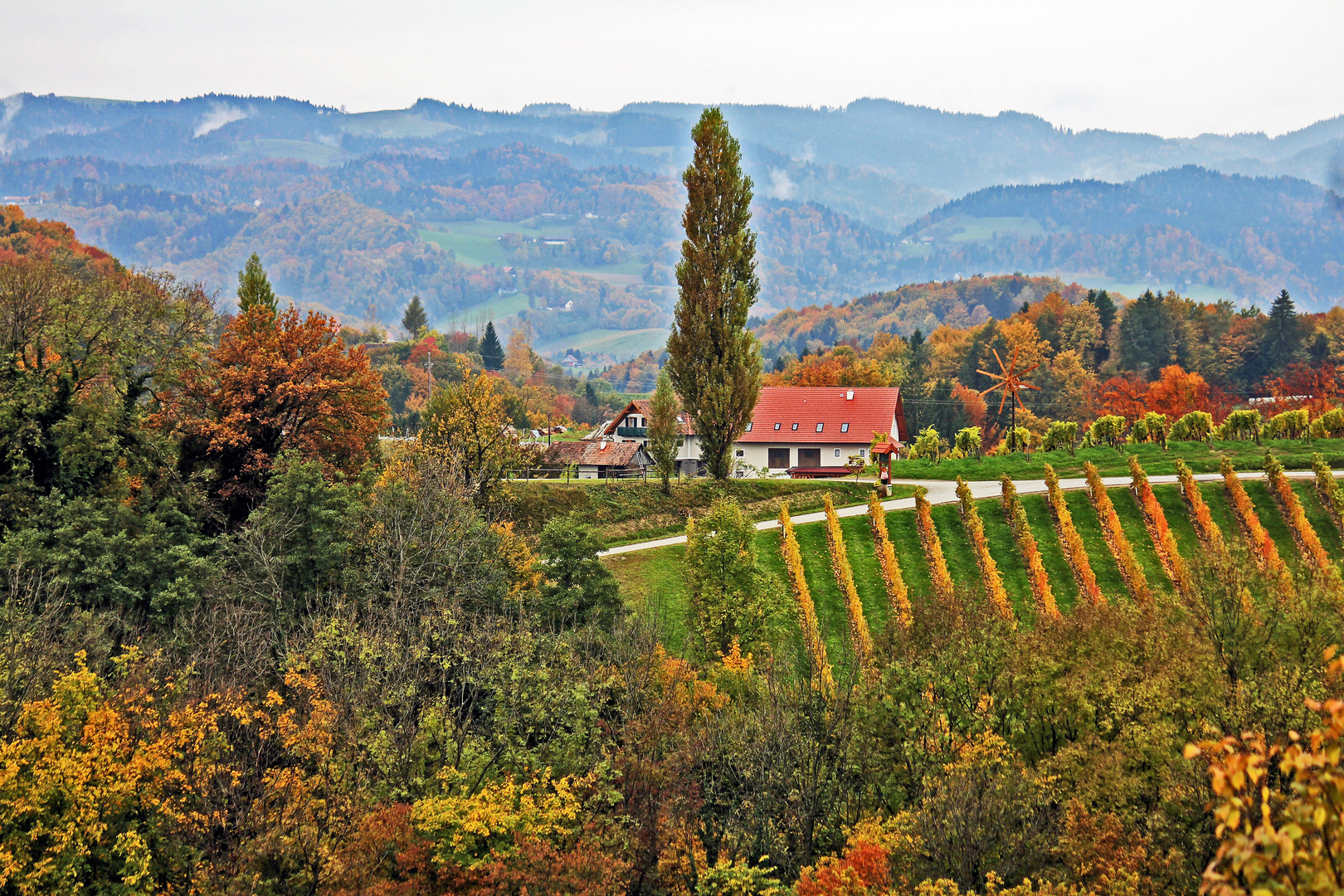 Herbst in der Südsteiermark