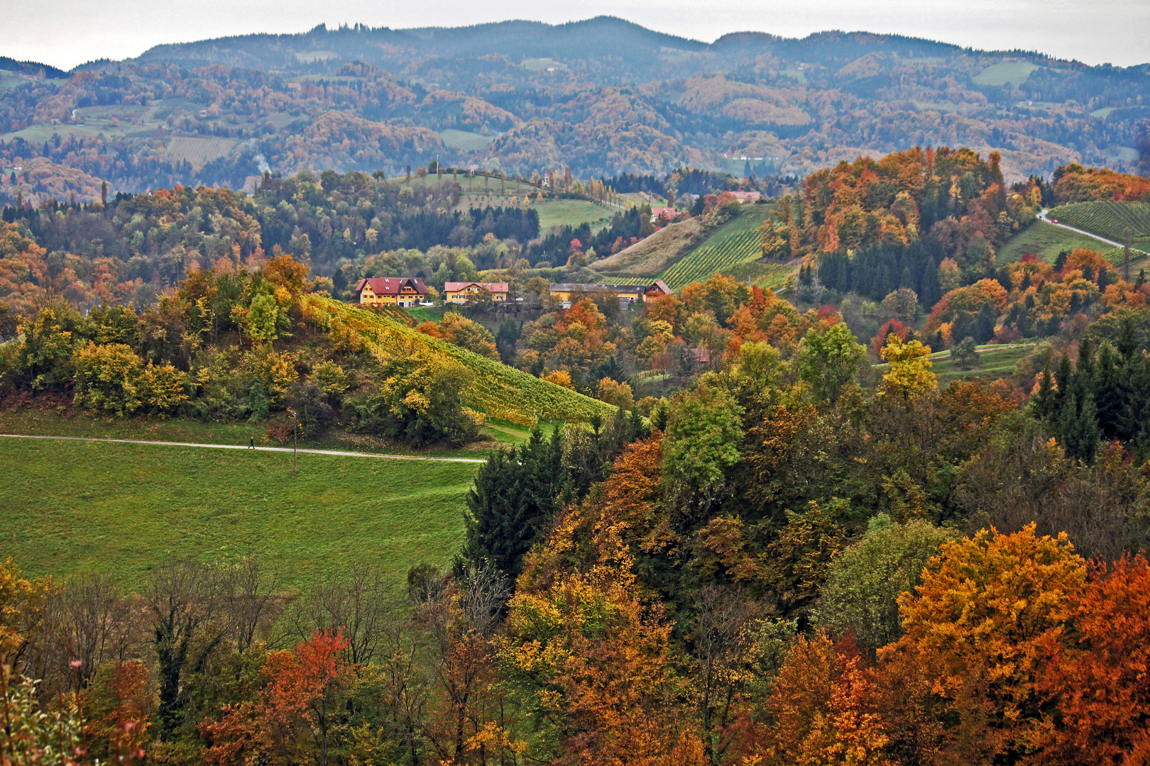 Herbst in der Südsteiermark