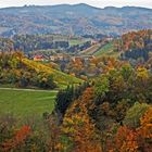 Herbst in der Südsteiermark