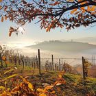 Herbst in der Südsteiermark