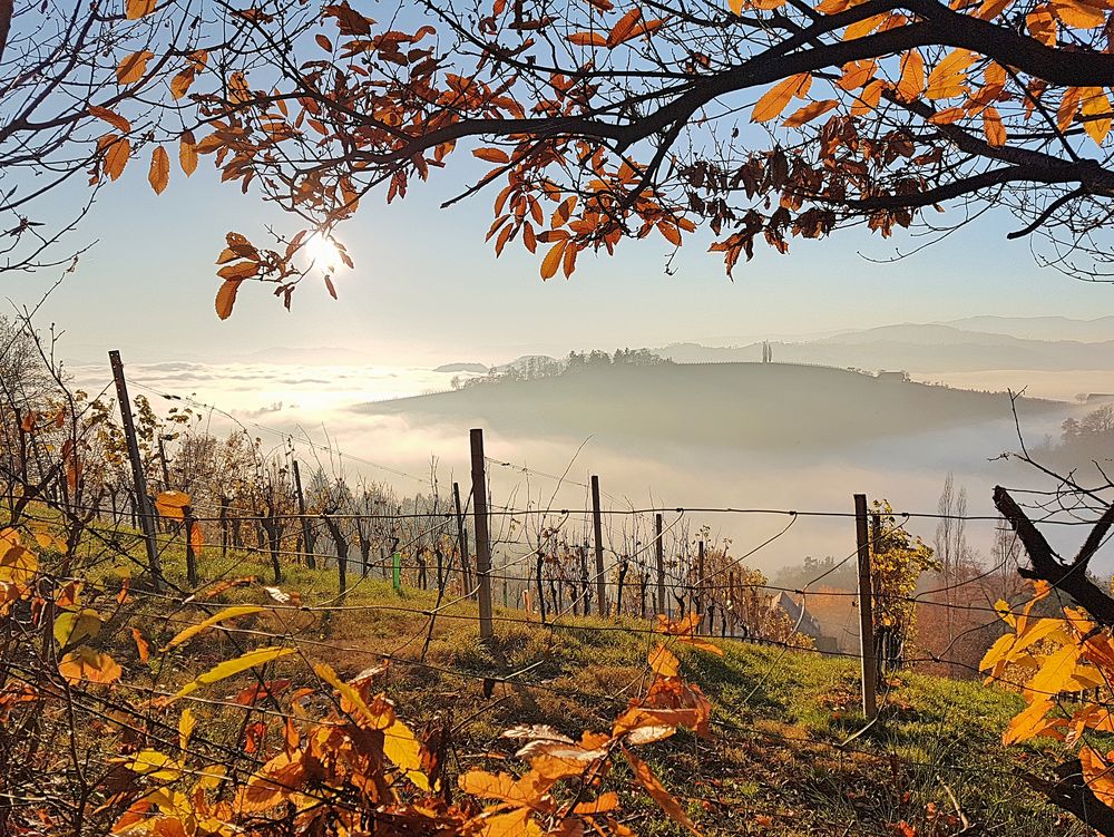 Herbst in der Südsteiermark